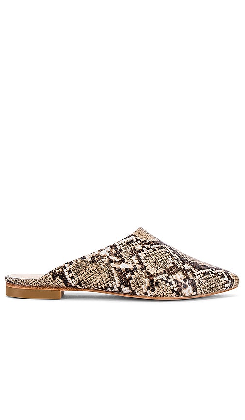 RAYE Kandie Slide in Natural Snake | REVOLVE