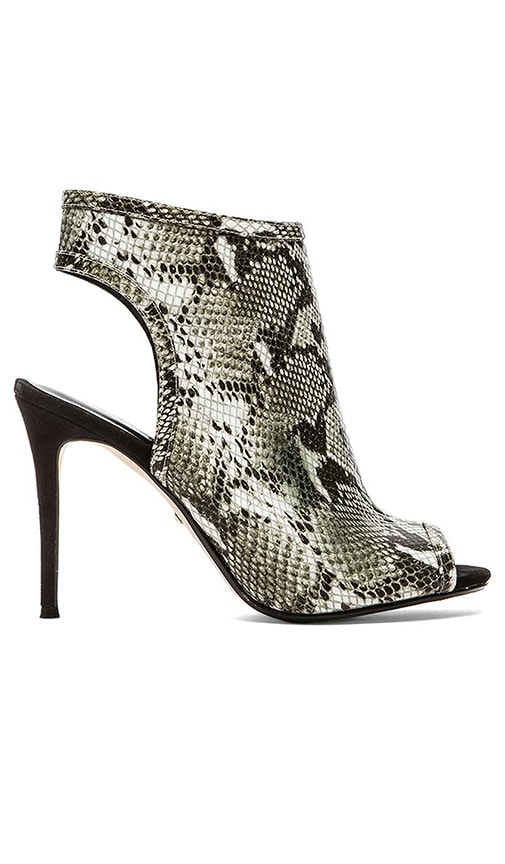 Brooke Heel