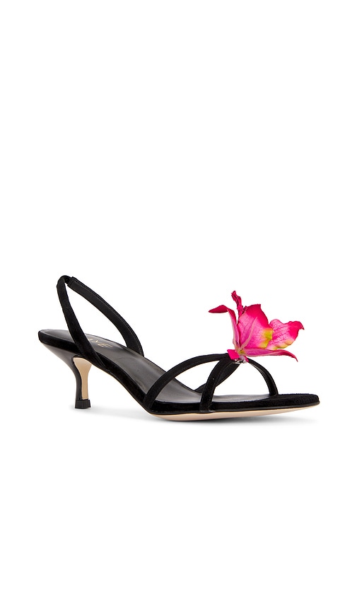 Shop Raye Kloe Heel In Black