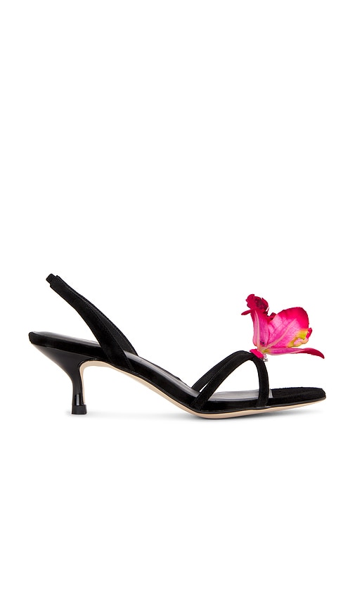 Shop Raye Kloe Heel In Black