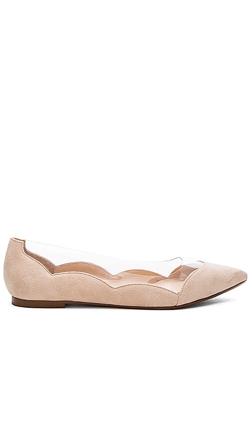 Polly Flat