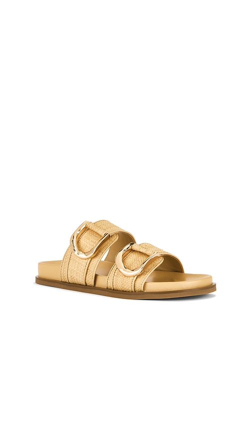 Raye Valentina Slide