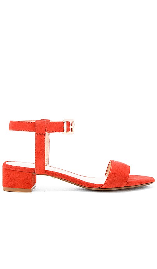 Andie Sandal
