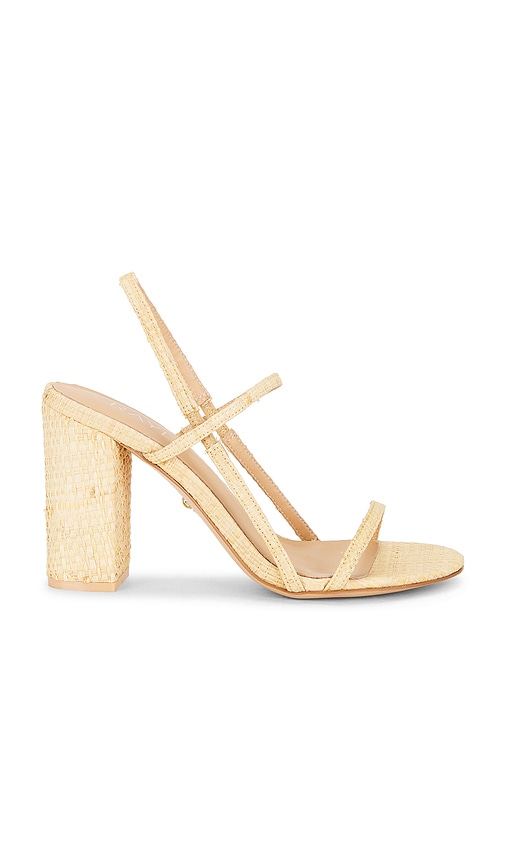 RAYE Amit Sandal