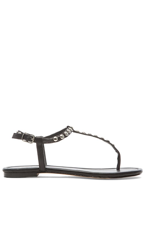 Sally Sandal