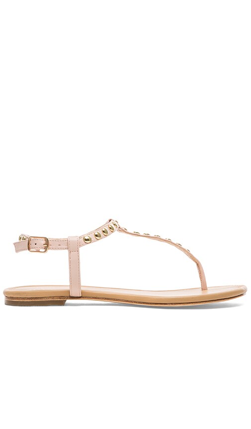 Sally Sandal