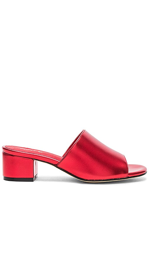 Cara Mule