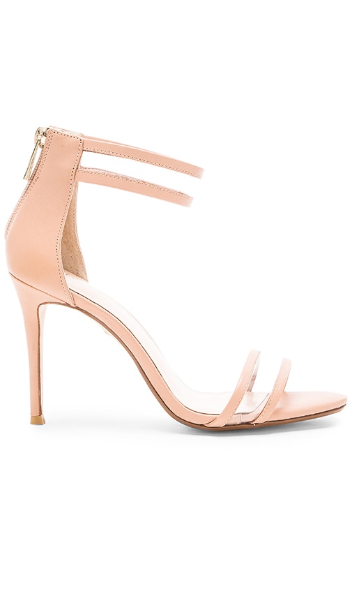 Bettina Heel