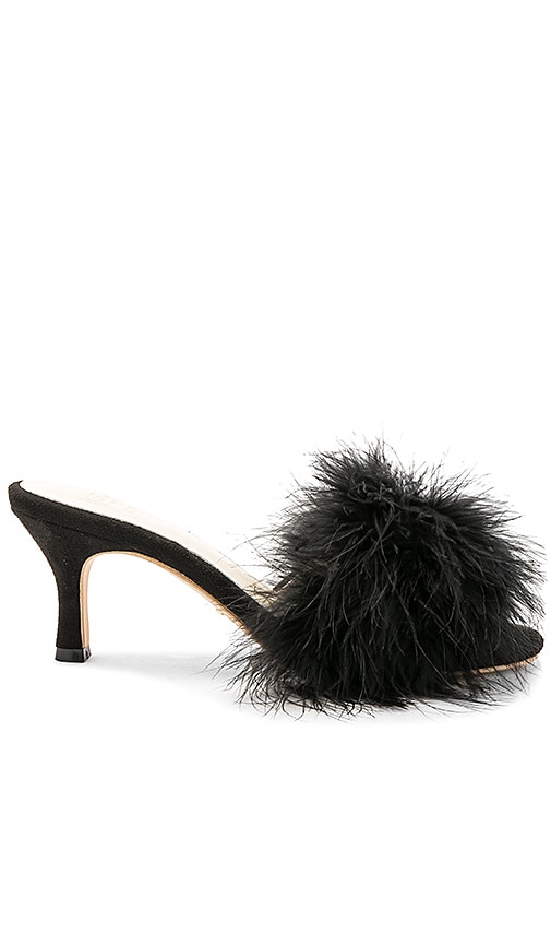 x STONE_COLD_FOX Crawford Heel