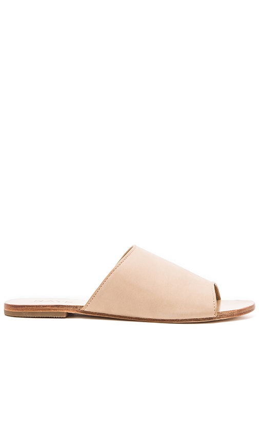 Sienna Slide