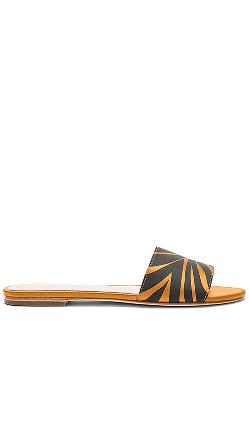 Zeb Slide