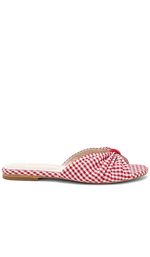 Jamie Sandal