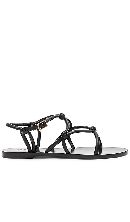 Danica Sandal
