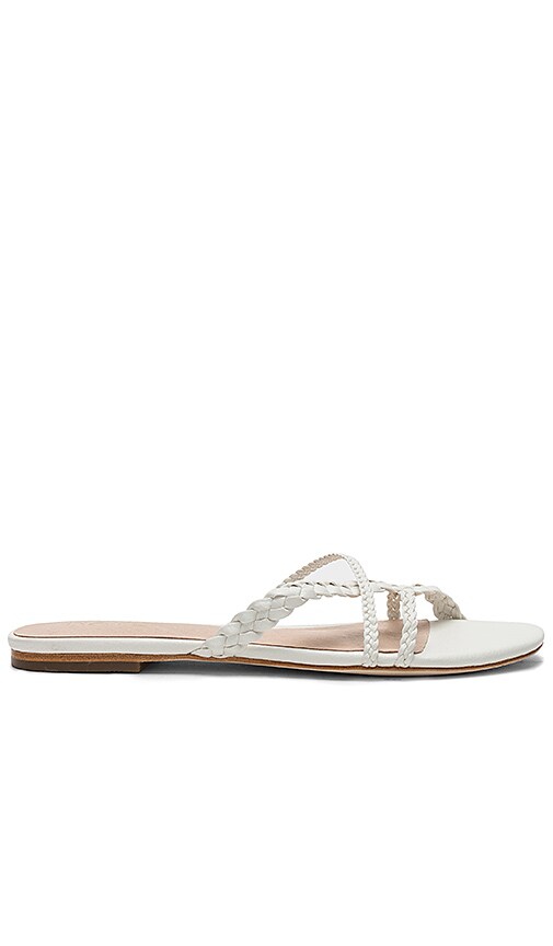 Emily Sandal