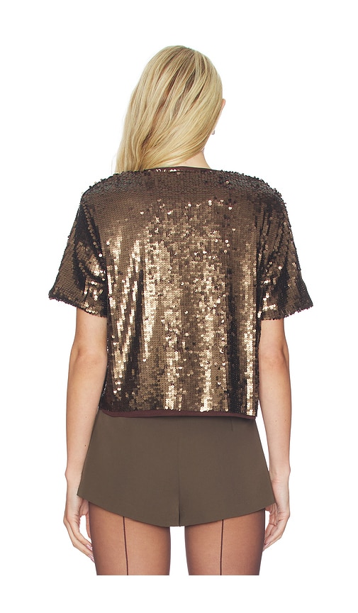  Rag & Bone T-shirt Mit Pailletten Lucy In Brown. Größe S. Also In Xs, M, L. 