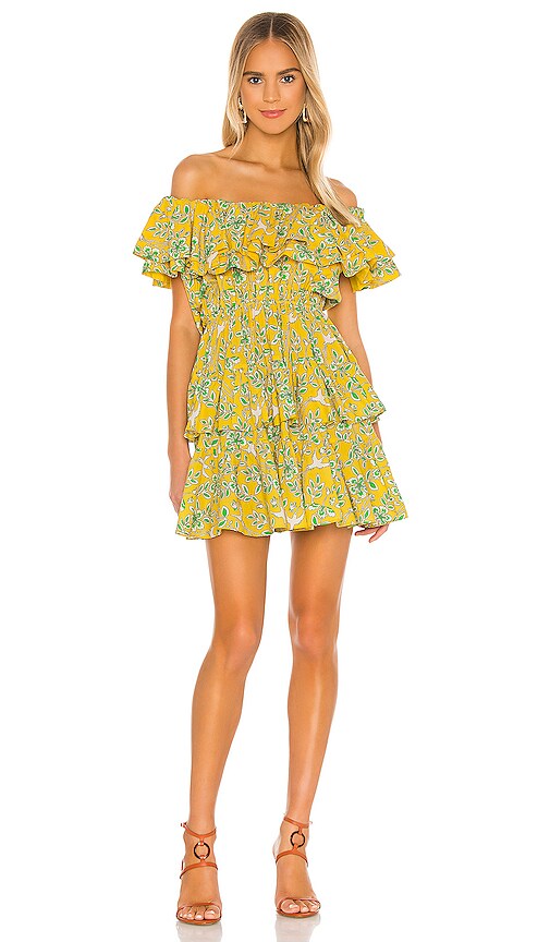 dotty dress