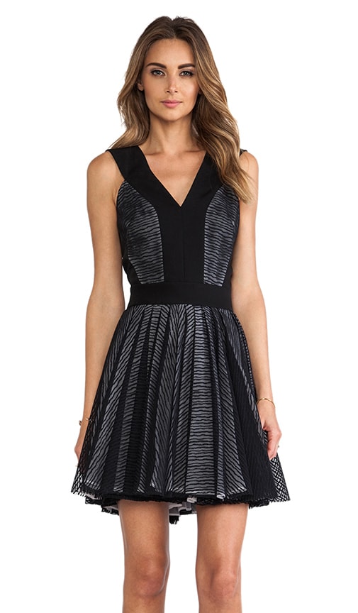 Zebra Stripe Lace Dress