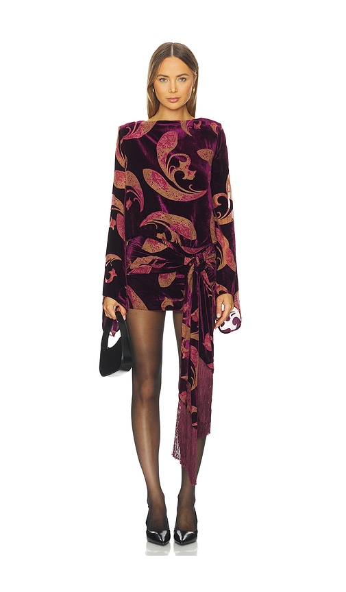 Retroféte Thesaly Velvet Dress In Multi