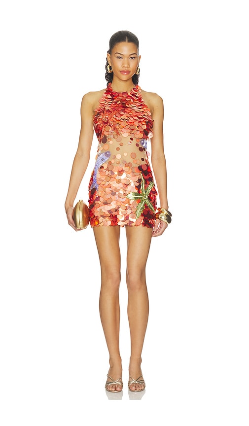 Dorothy Embroidered Dress