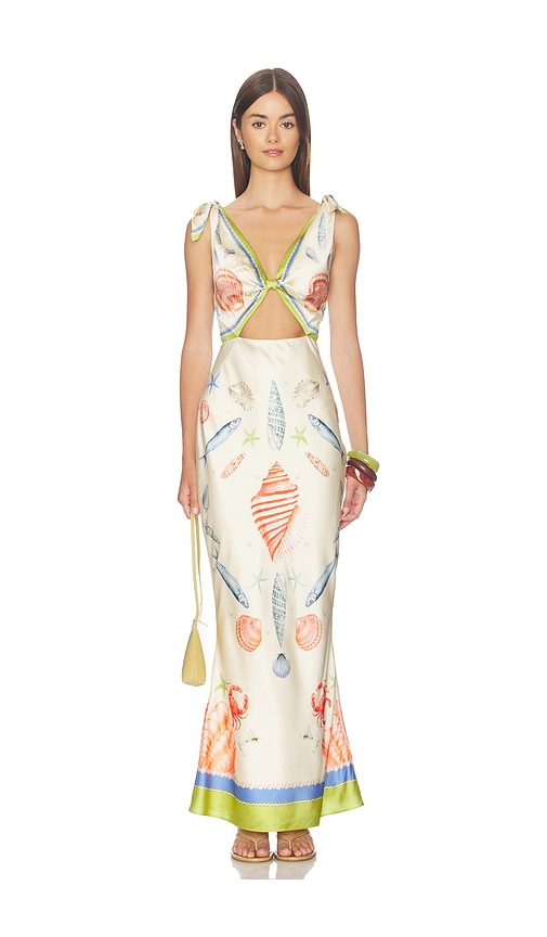Carlotte Dress