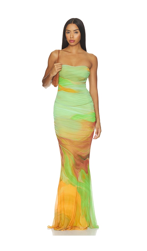 Isadore Mesh Dress