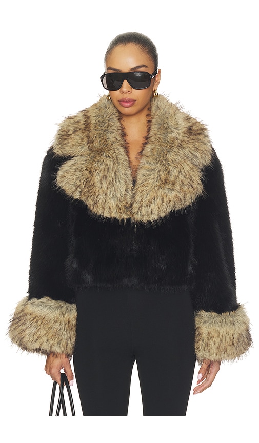 Beso Jacket by Retrofete in Black Bourbon
