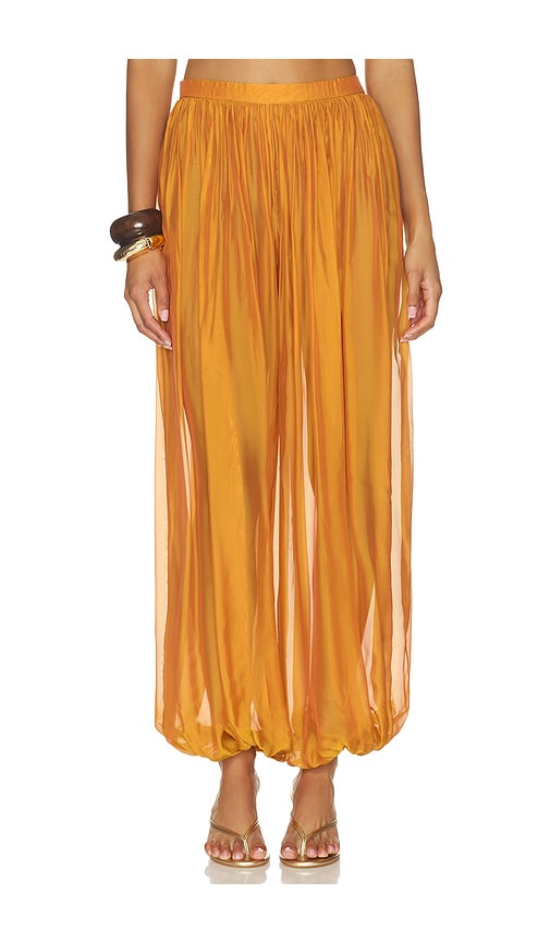 Evolet Chiffon Pant