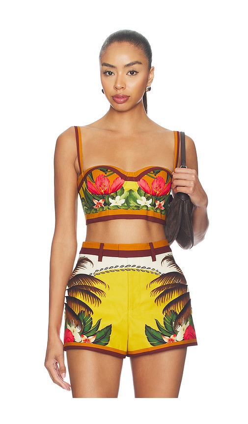 Cricket Bustier Top