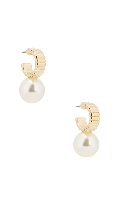 Shop Roxanne Assoulin Swan Hoop Earrings In Metallic Gold