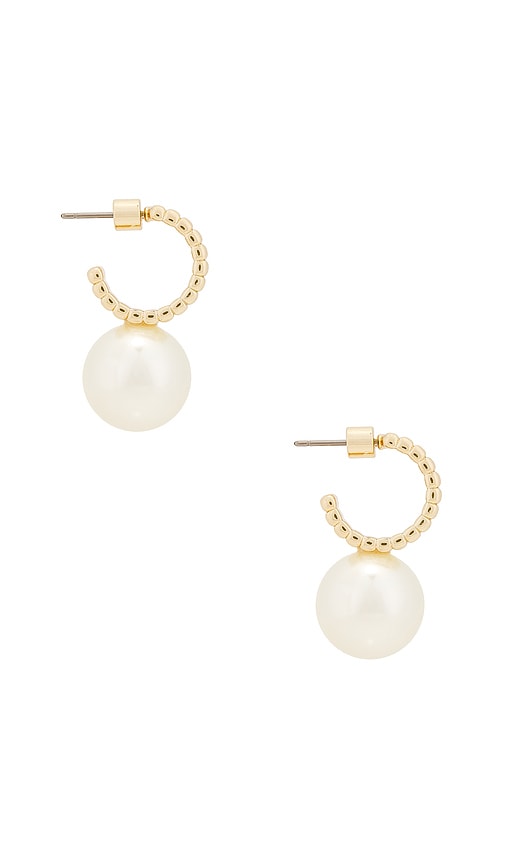 Shop Roxanne Assoulin Swan Hoop Earrings In Metallic Gold