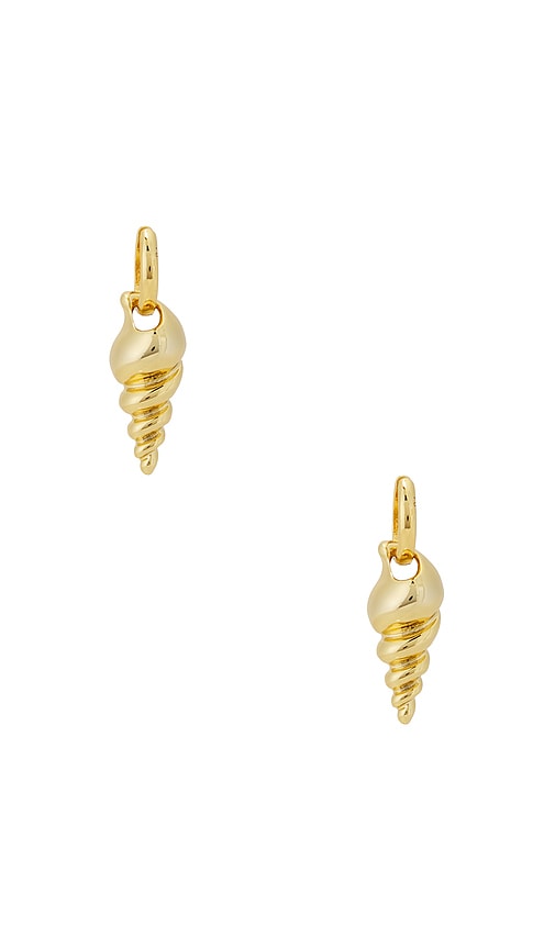  Roxanne Assoulin Ohrringe Conch In Metallic Gold. 