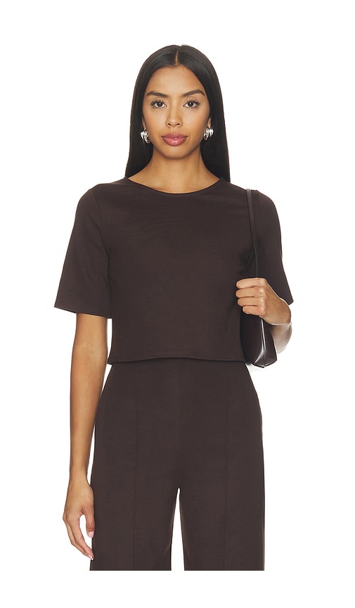 Ripley Rader Ponte Knit Short Sleeve Top In Chocolate