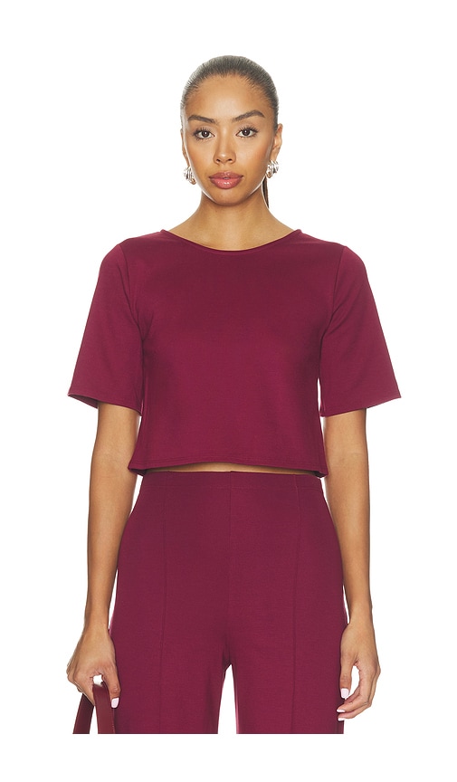 Ripley Rader Ponte Knit Short Sleeve Top In Wine