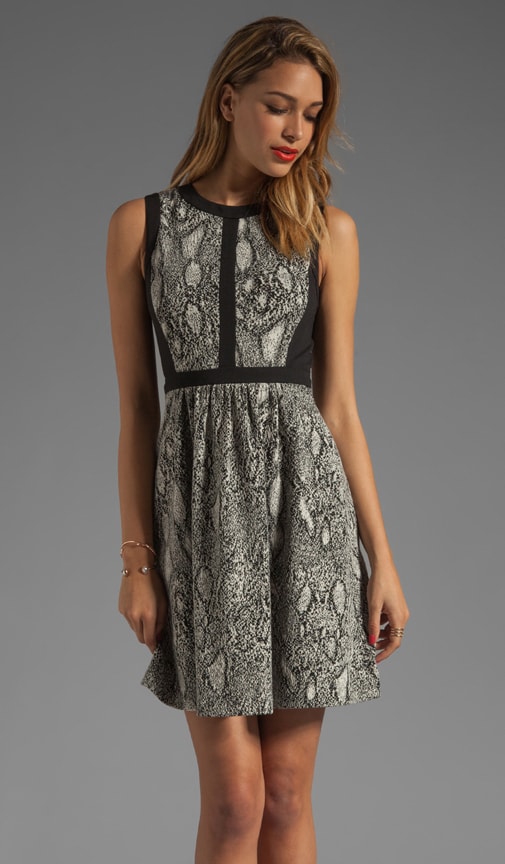 Python Fit & Flare Dress