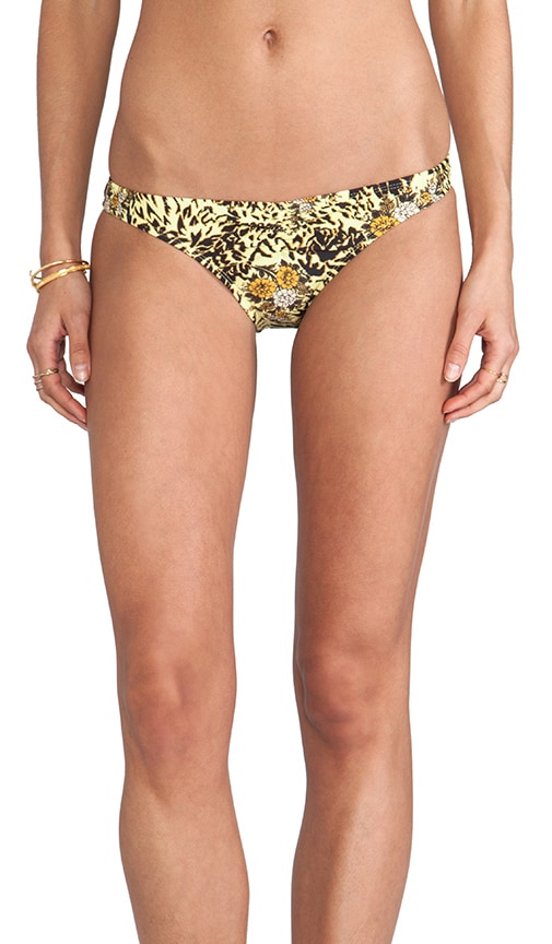 Punda Bottom