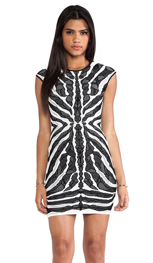 Bengal Lace Jaq Dress