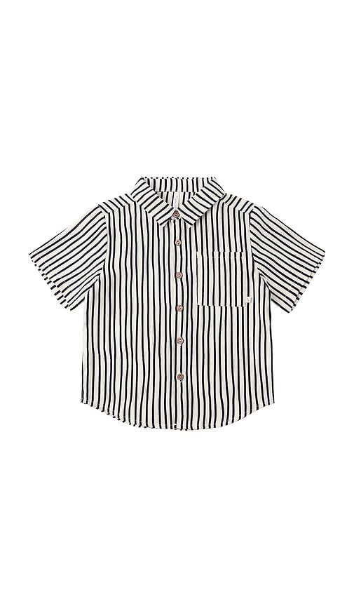 Rylee + Cru Rylee + Cru Collared Short Sleeve Shirt