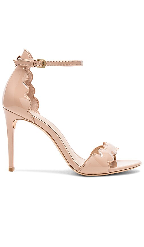 RACHEL ZOE Ava Sandal in Cameo | REVOLVE