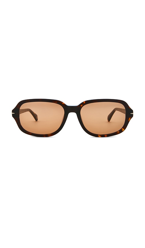 SAD Eyewear Dusk Tinted Sunglasses