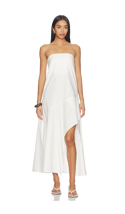St. Agni Oxford Strapless Asymmetrical Dress