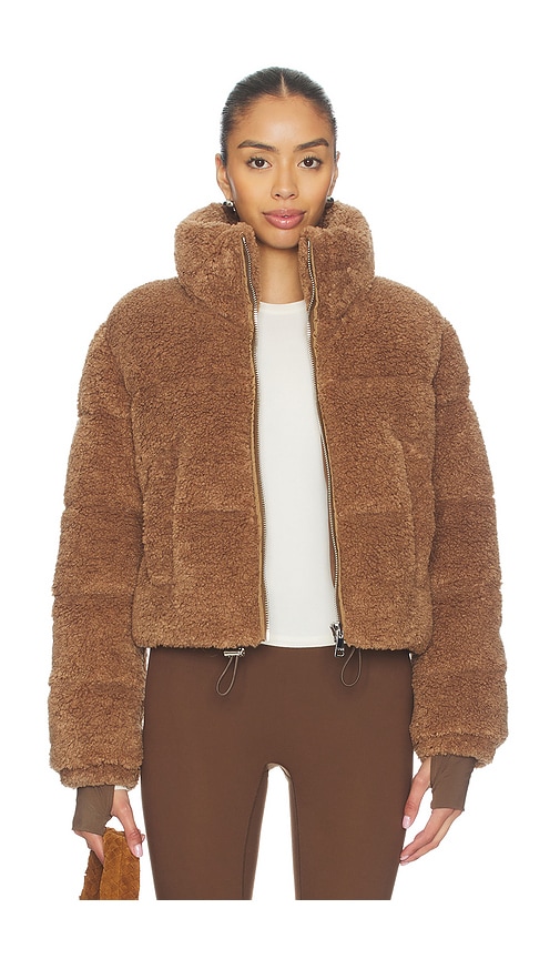 Sam Gemma Jacket In Brown