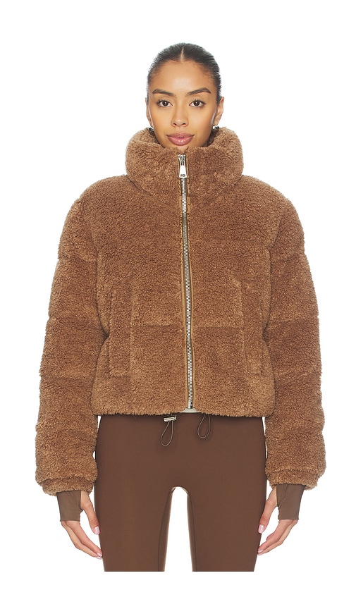 Sam Gemma Jacket In Brown