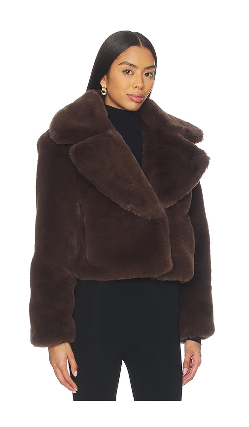 Sam Milly Jacket In Brown