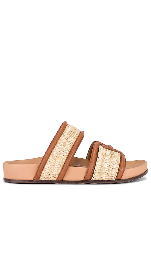 Shop Sam Edelman Rowan Slide In Natural & Rich Cognac