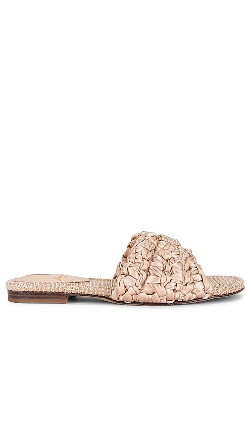 Sam Edelman - Women's Bridget Slide Sandal