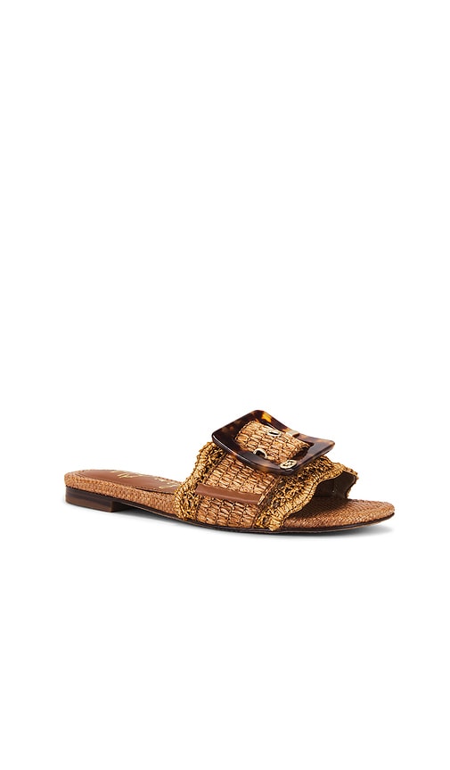 Sam Edelman Bambi Sandal In Brown