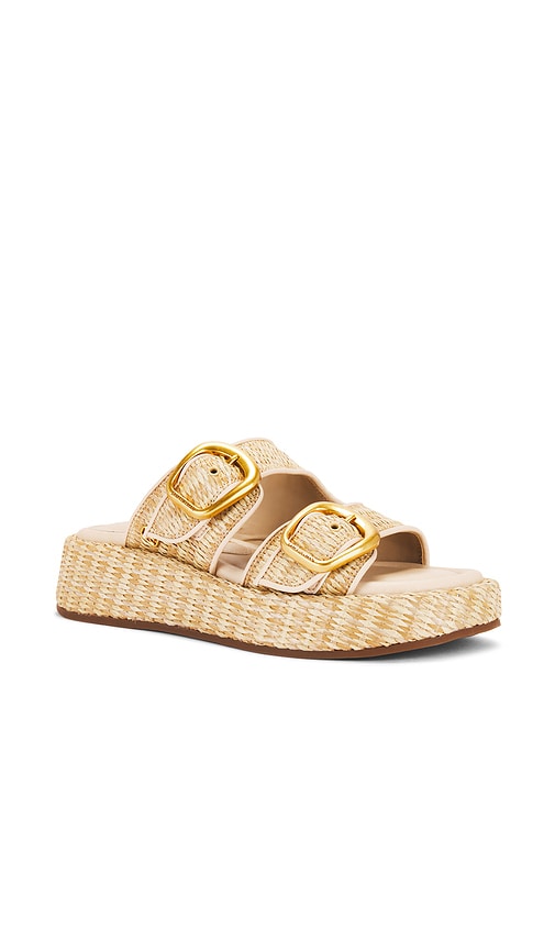 Sam Edelman Nerissa Sandal In Dk Natural