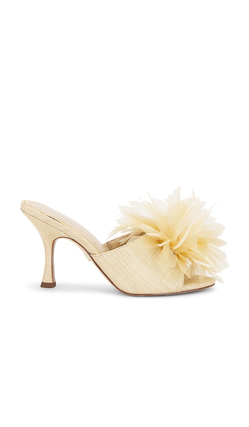 Sam Edelman Jace Mule