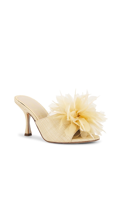 Sam Edelman Jace Mule In Brown
