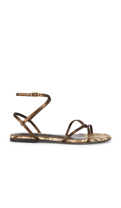 Sam Edelman Ellina Sandal